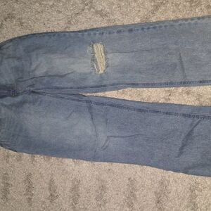 RSQ Stylish Blue Distressed Jeans, Low Rise Straight, 26